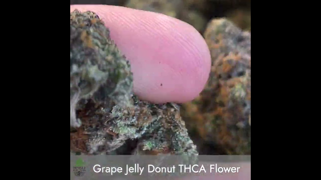 Grape Jelly Donut THCA Flower - Infused Hemp Farms