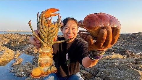 Lan Anh ra biển bắt tôm cua cá  #sanbathaisan #bắthảisản #bắtcá ##sanban #haisan #tomtit #shorts