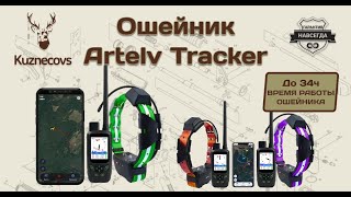 Жесткое тестирование GPS Ошейника для собак, охота с ARTELV TRECKER SOLO.