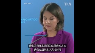 德国外长：欧盟必须慎重对待中国疫情