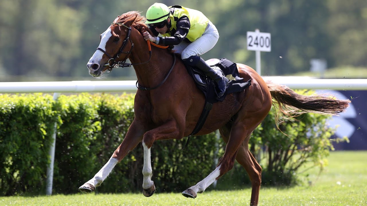 Berlin Hoppegarten: Altano-Rennen 2024 Sieger: Waldadler