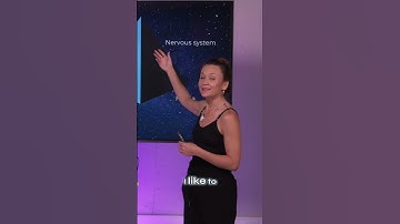 What is consciousness—and can it be trained?