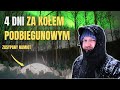 SAMOTNA WYPRAWA w poszukiwaniu zorzy polarnej