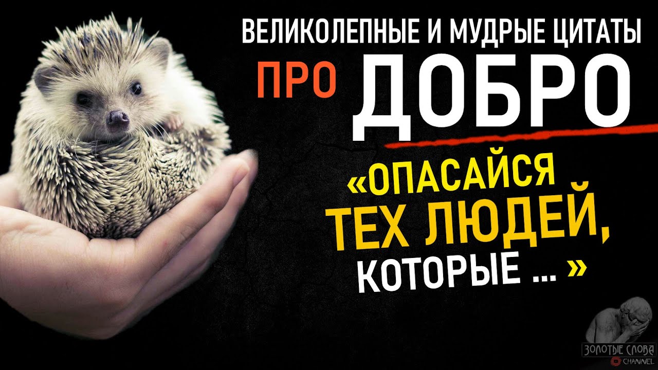 Точные Цитаты про Добро, Сильные Слова Великих людей, Которые Нужно Знать, мужчина, женщина, жизнь