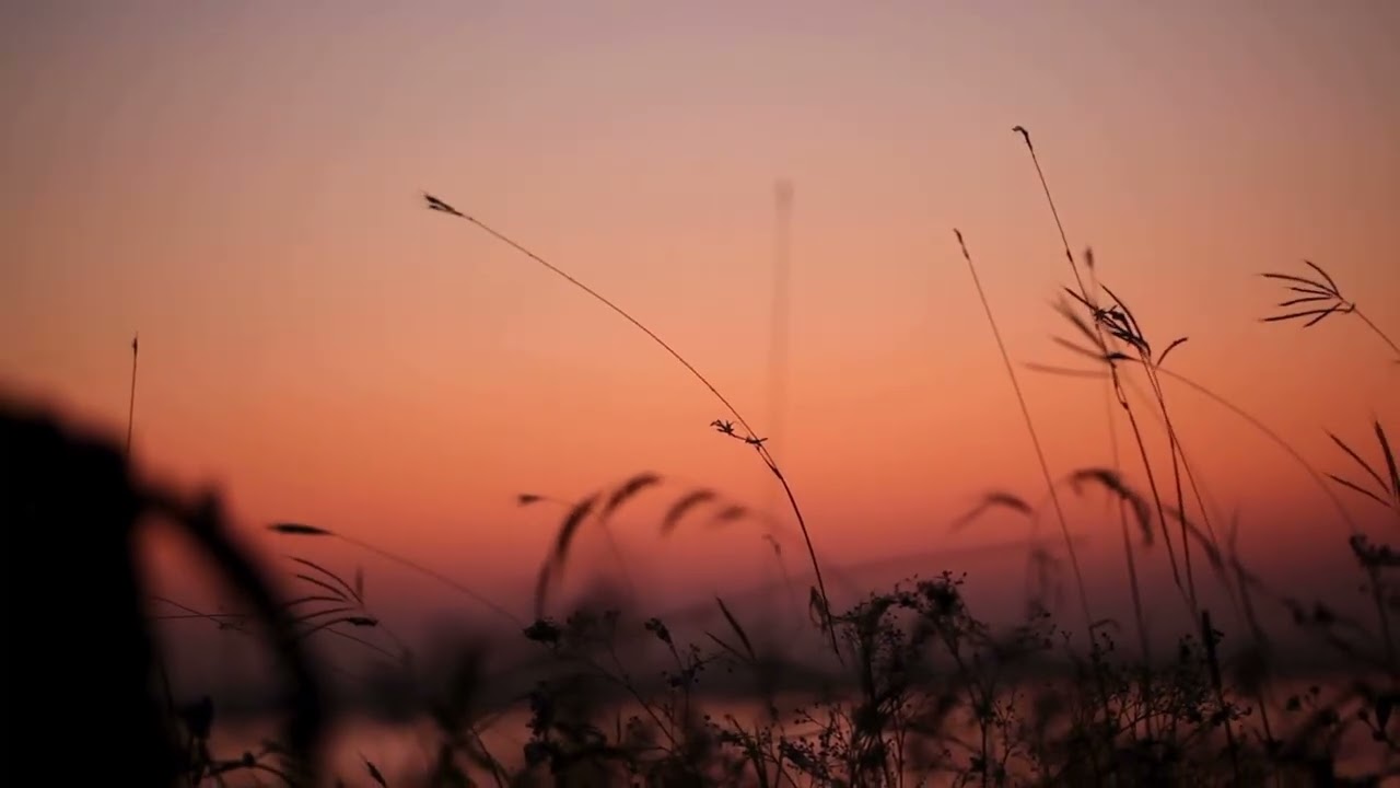 Yoga Nidra: Walking to the Fabrick