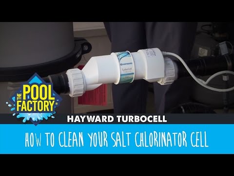 hayward-turbocell---how-to-clean-your-cell