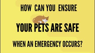 How can you ensure your pets are safe when an emergency occurs