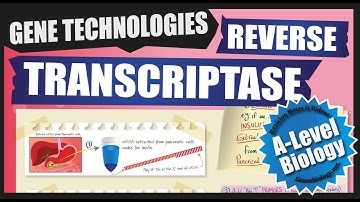 Making cDNA using Reverse Transcriptase | A Level Biology Revision Notes