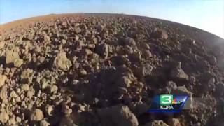 California drought could impact bird habitats, rice prices