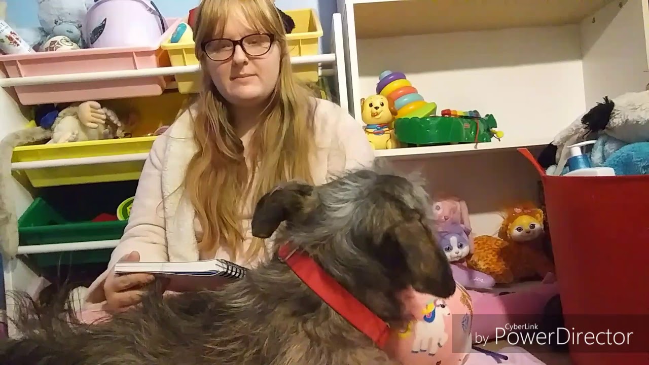 Are CGLRE and AGERE safe for minors? (My opinion)