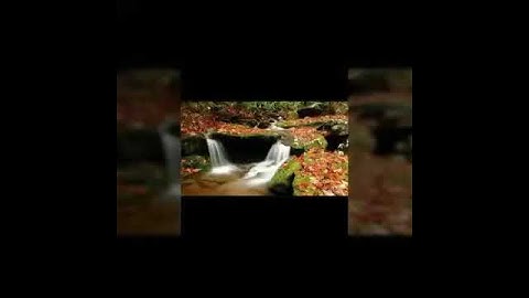 نصر الوهيبي / تلاوة خاشعة