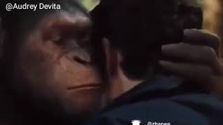 Udah pada ngopi belum