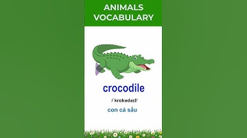 Dạy bé học tiếng anh qua các con vật hoạt hình / Dạy bé tập nhận biết tên các con vật - Thanh nấm