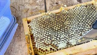 2000 Mde Karakovan Balı Yegens Arı Çiftliği Erzincan