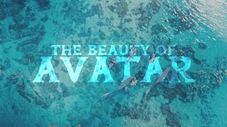 Beauty of Avatar