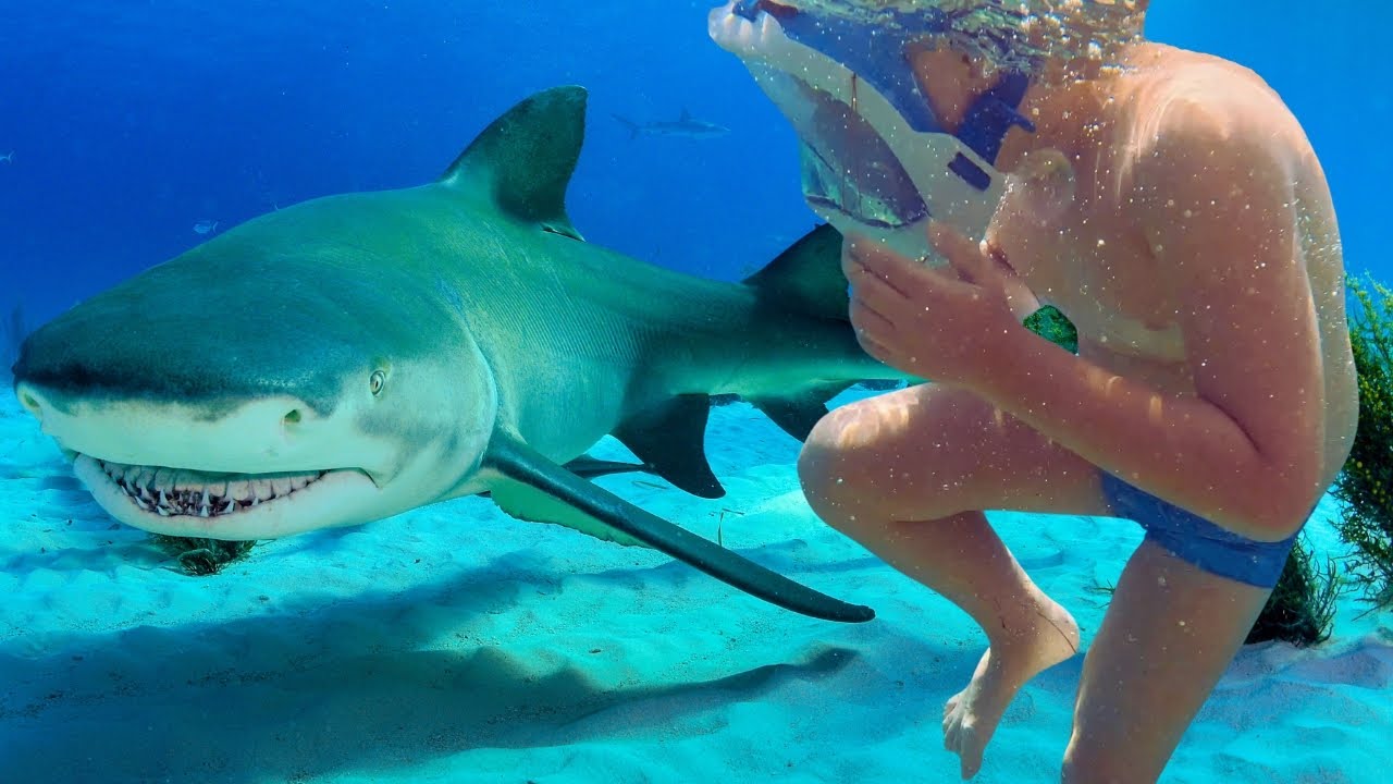 Мои ЭКСТРИМ каникулы в Хорватии: Башка-Вода 4К