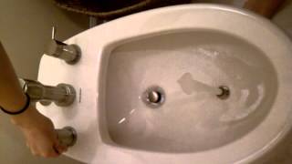 Kitten Uses Bidet