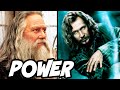 Top 6 Most POWERFUL Order of the Phoenix Members (RANKED) - Harry Potter Theory