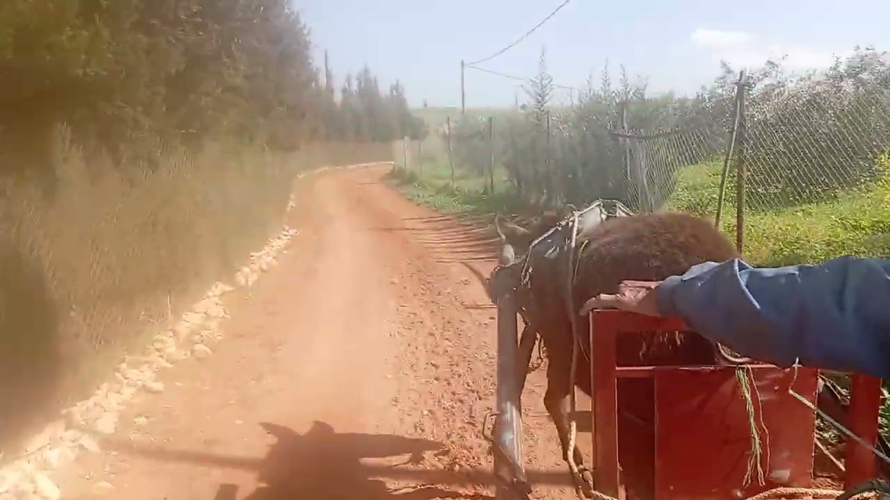 ١ فبراير ٢٠٢٦