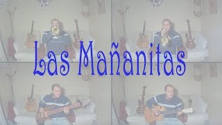 Video thumbnail of "las mañanitas instrumental (trompeta)"