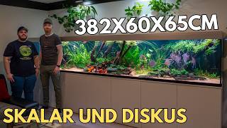 1500 Liter - Dominik's XXL Skalar und Diskus Aquarium!