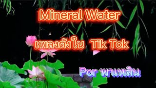 Mineral Water#เพลงดัง#เพลงดังในtiktok#eleenachauhan#jibeshsinghgurung#Bhimbista#Porพาเพลิน#เนปาล