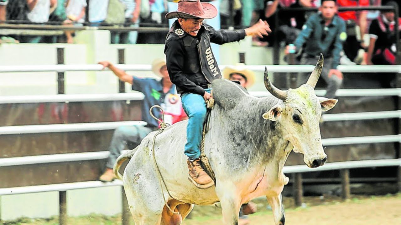Masbate Cowboys : The ONLY RODEO in Asia - YouTube