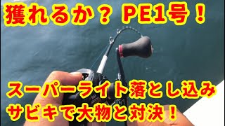 【相模湾】大物HIT！獲れるか？PE1号スーパーライト落とし込みサビキ釣り！