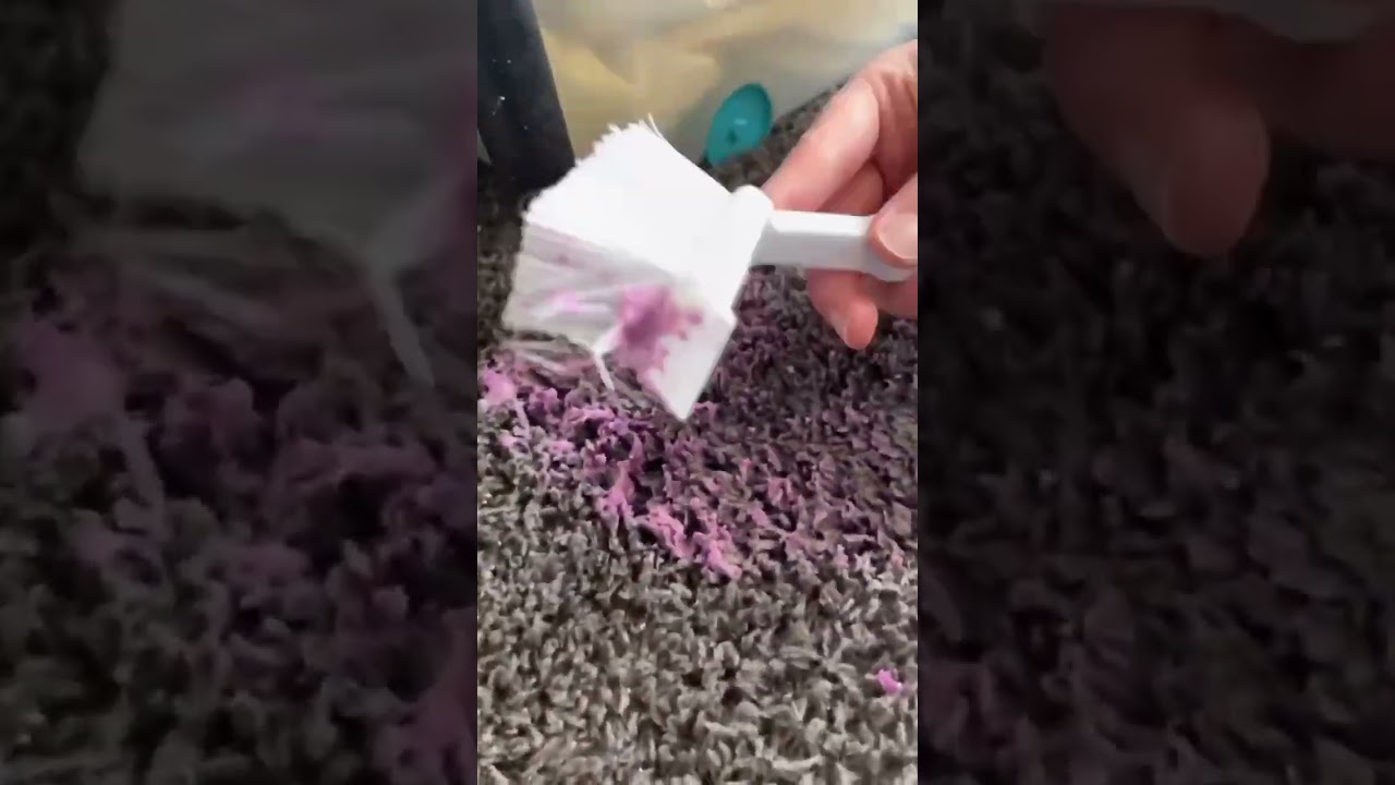 How To Get Slime Out Of Carpet You