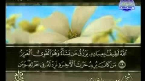 ختمة الشيخ سعد الغامدي 42 سورة الشورى