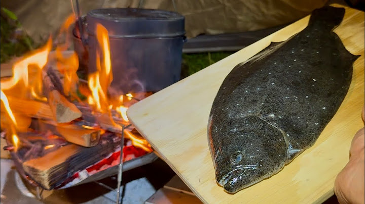 Flounder fishing and camping [Oro Camp △]