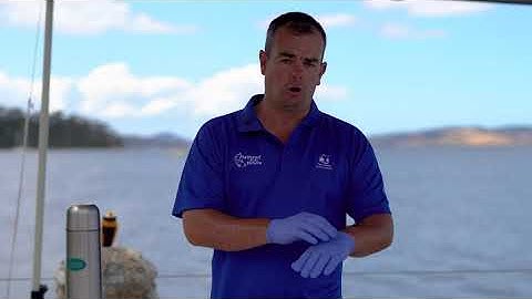 How to Fillet Gurnard