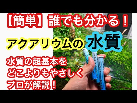 【アクアリウムの水質を知ろう!】プロがどこよりも分かりやすく水質について解説!