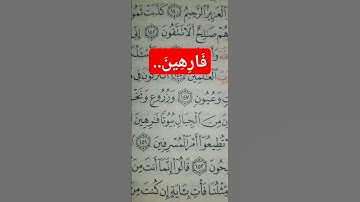 كلمات لها معنى.. الشعراء.. الآية 149