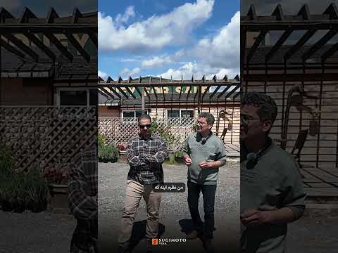 از پزشکی در ایران تا زنبورداری در کانادا