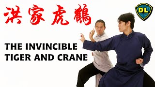 洪家虎鶴 | THE INVINCIBLE TIGER AND CRANE (2021) — LAU KAR-LEUNG STYLE KUNG FU FIGHT