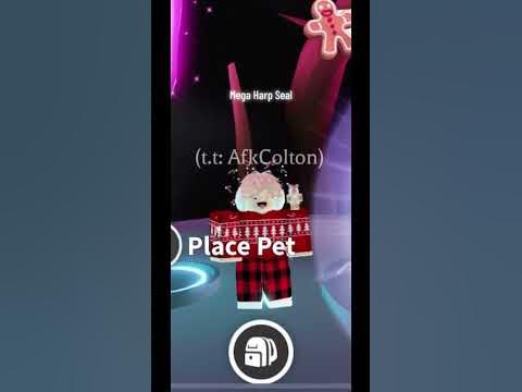 I Made A MEGA NEON Harp Seal! - YouTube