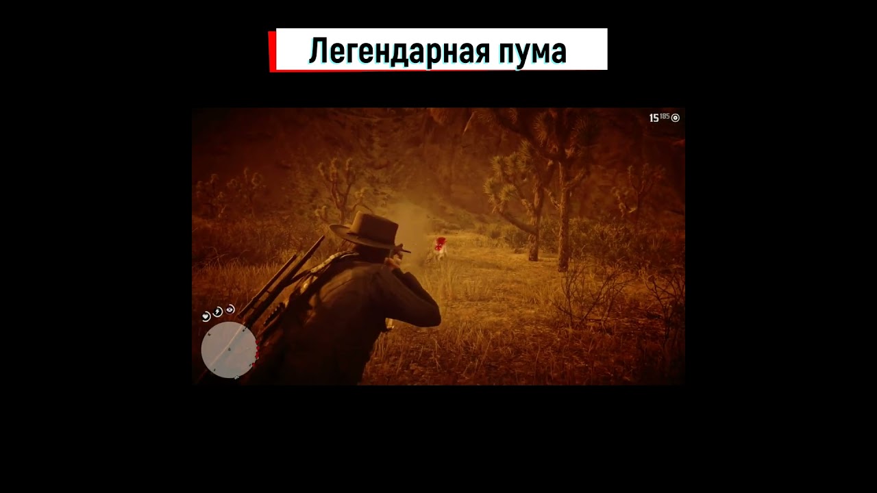 Легендарная пума. Легендарная Пума rdr. В Red Dead Redemption 2 легендарную гиовидную пуму на легендарную тоже. Рлр 2 легендарная Пума.