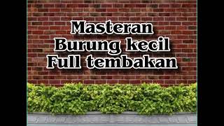 Masteran kombinasi burung kecil full tembakan rapat