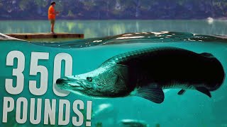 Catching A 6ft 350 Pound River Monster! - Freshwater Fishing Sim - The Catch: Carp & Coarse