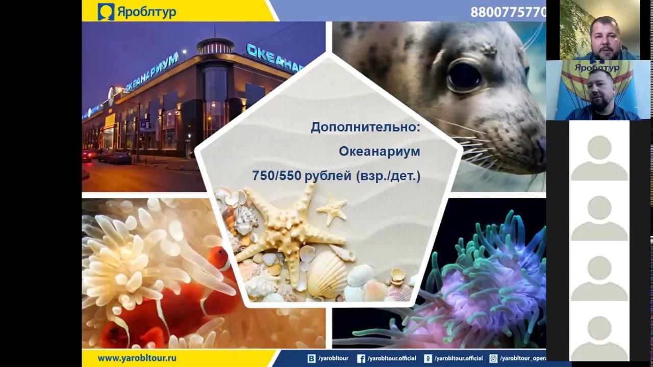 Яроблтур Новогодний Питер Яроблтур Новогодний Питер