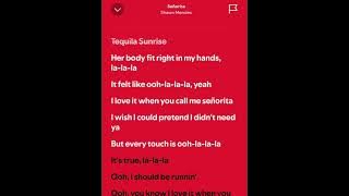 Señorita By Shaw Mendes(Spotify FAMILY Official Music Video)@TaylesTourus