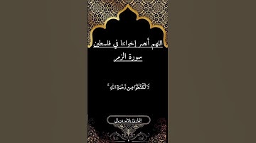 سورة الزمر _ تلاوة للقارئ بلال دربالي