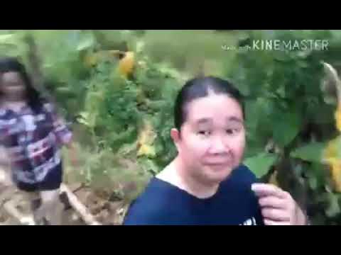 Lembur Kuring Nu Endah