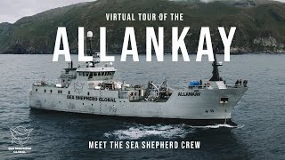 Virtual Tour of the Allankay: Discover the latest addition to the Sea Shepherd Global fleet