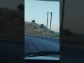 با بچه ها خوب در جاده کمارنج