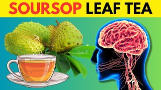Health Benefits Of Soursop Leaves Tea I Soursop Dried Tea Leaves