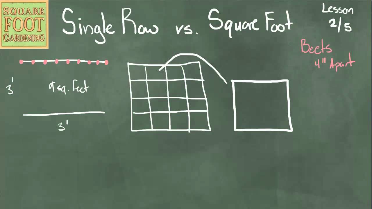 Single Row vs. Square Foot Lesson 2/5 YouTube