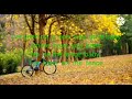John Wolf FAIR Lyrics 1 Hour John Wolf FAIR Lyrics 1 Hour