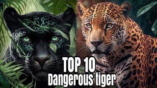 Top 10 Tiger Dangerous Species In The World